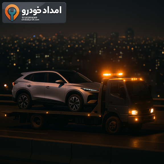 حمل لاماری اکو با خودروبر در یکی از بزرگراه‌های تهران